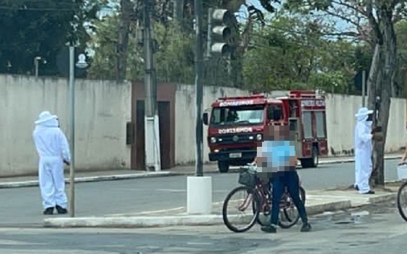 Bombeiros descartam ação criminosa com enxame de abelhas no momento da passagem da comitiva de Bolsonaro em Teixeira