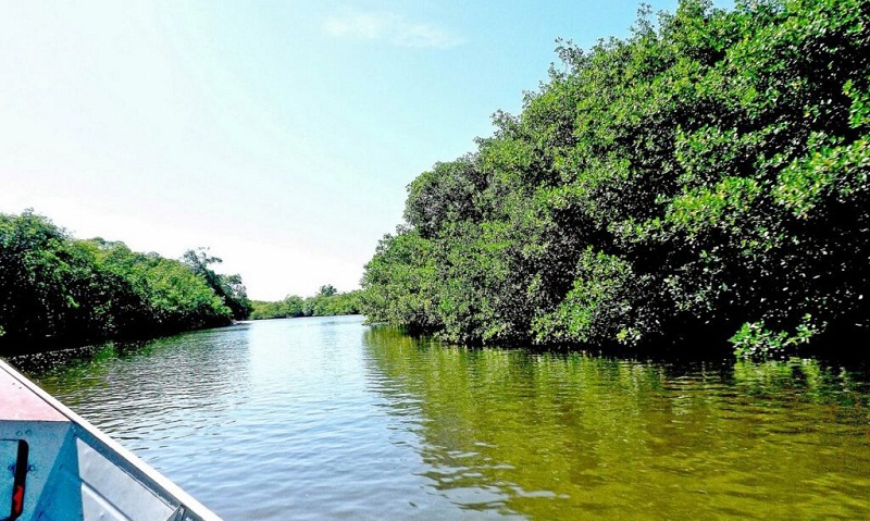 Batida entre moto aquática e canoa mata pescador de 46 anos