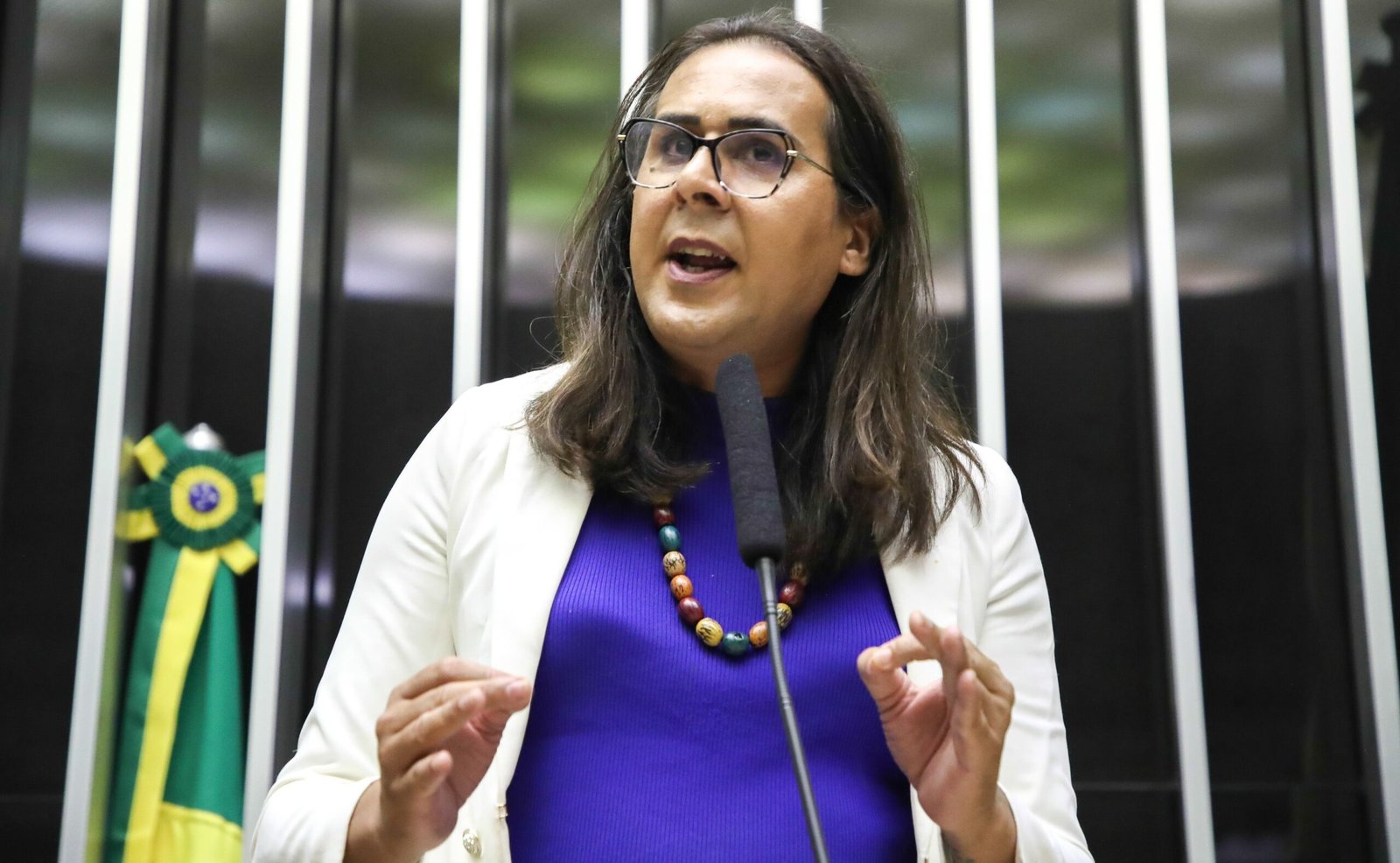 Deputada propõe projeto que veta anistia a investigados por golpe