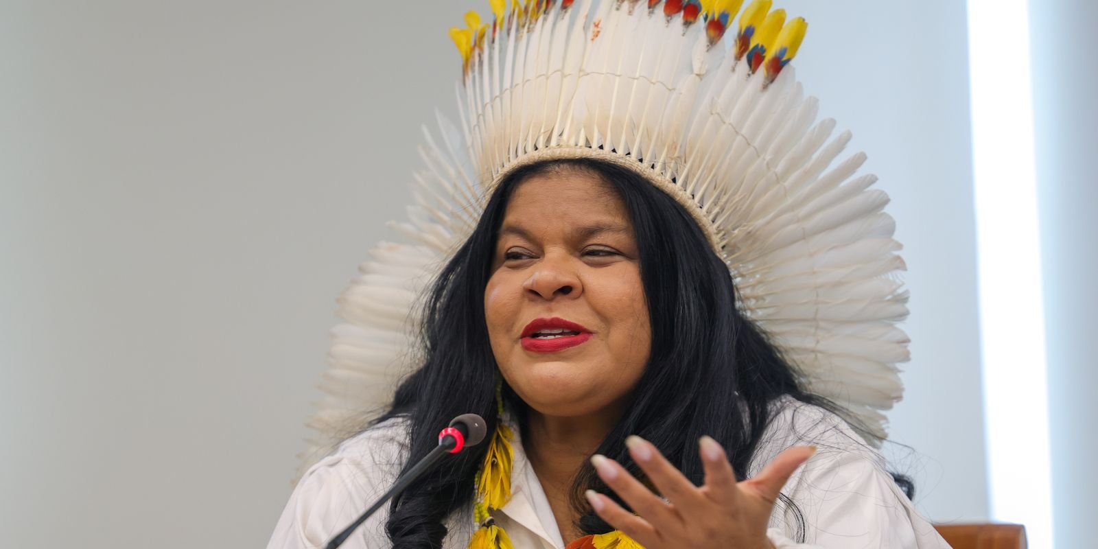Ministra destaca trabalho inédito na proteção dos povos indígenas