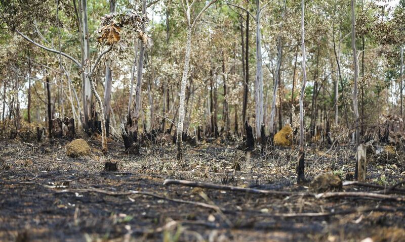 Degradação da Amazônia cresce 163% em dois anos, enquanto desmatamento cai