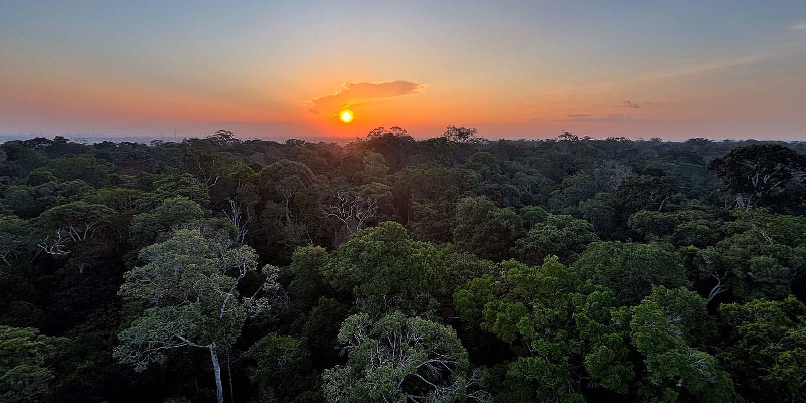 Começa hoje em Brasília a 5ª Conferência Nacional do Meio Ambiente