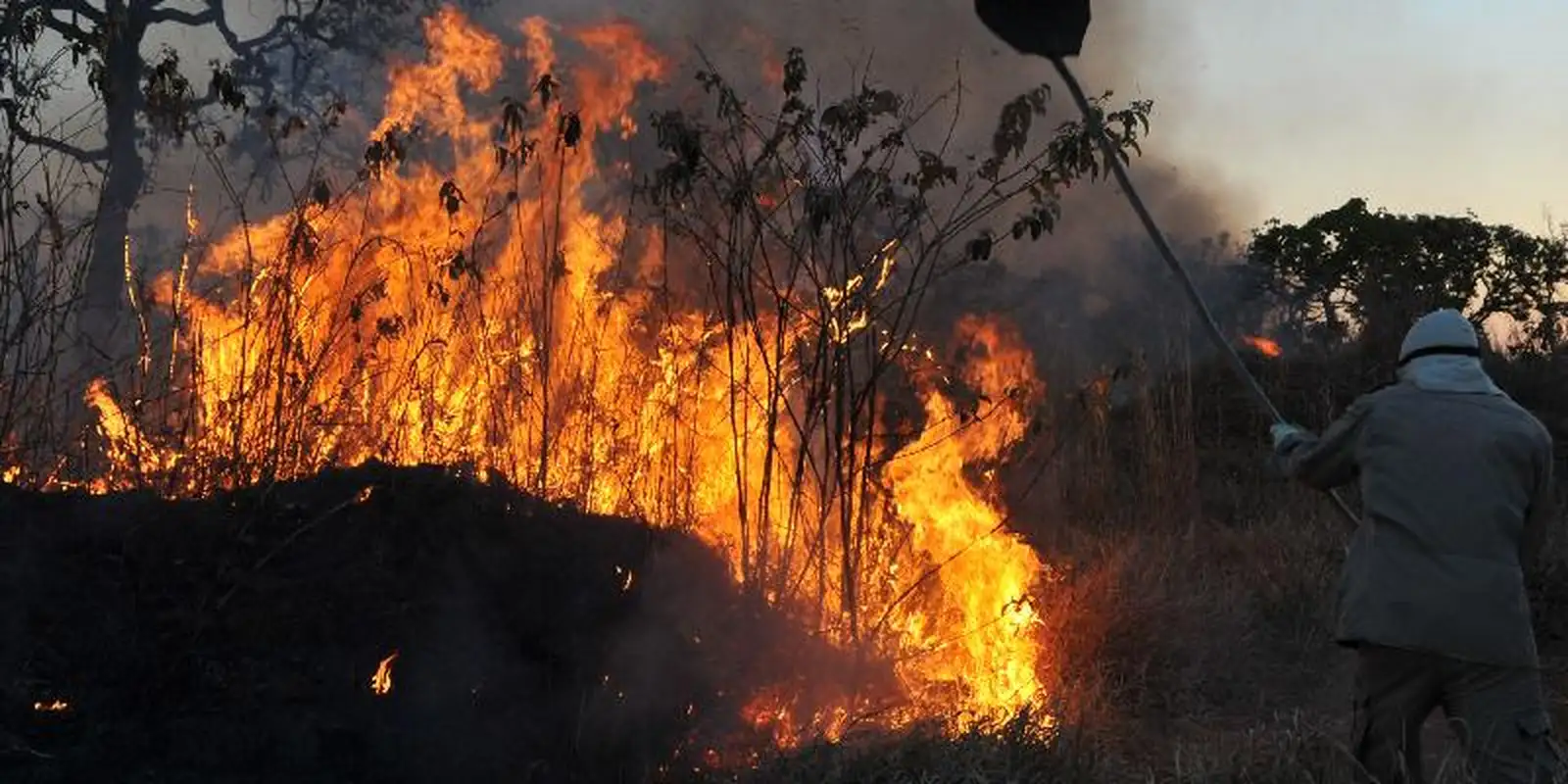 Ibama multa 242 pessoas por incêndios criminosos em 2024