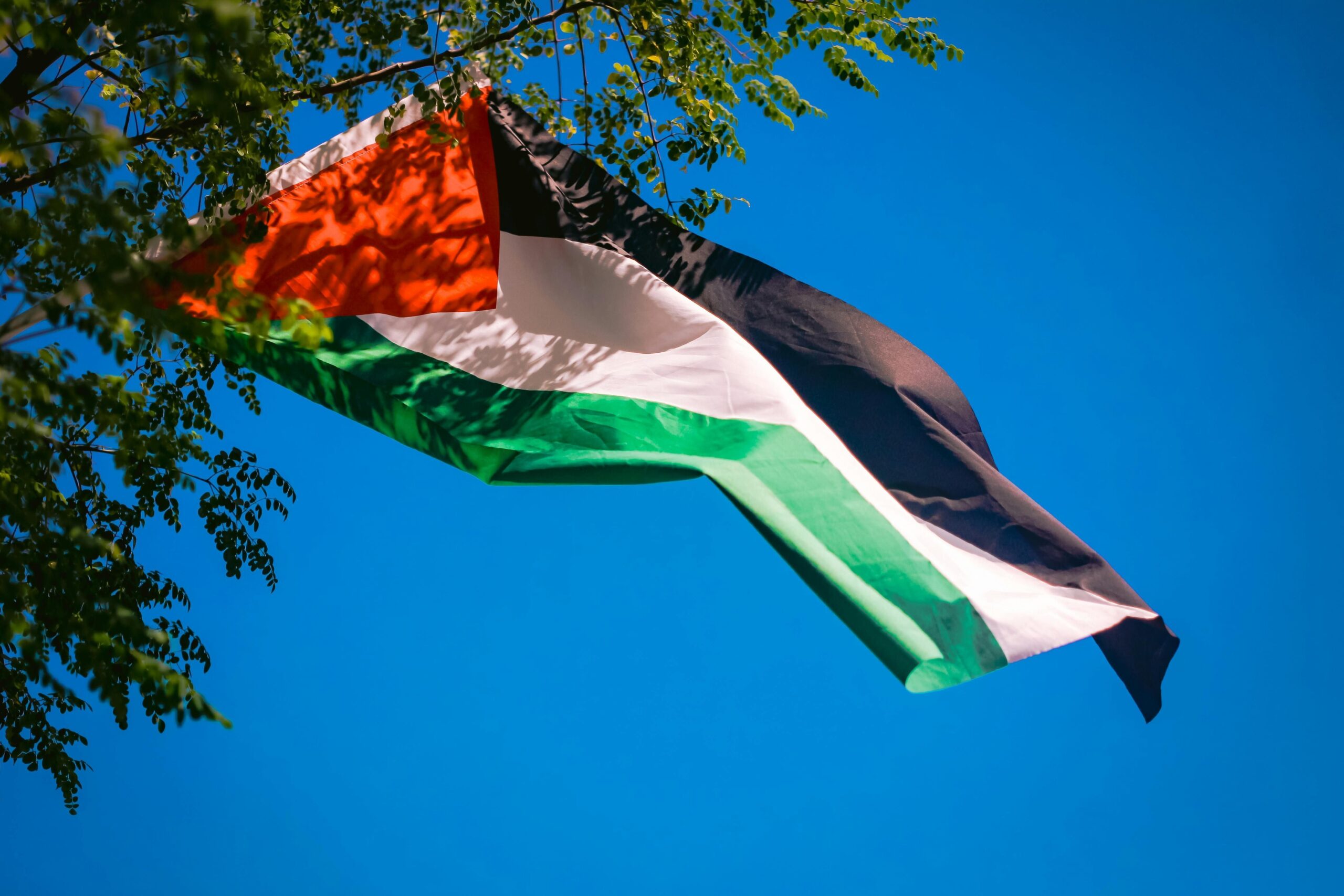 Qual a importância de grandes nações reconhecerem o Estado Palestino?
