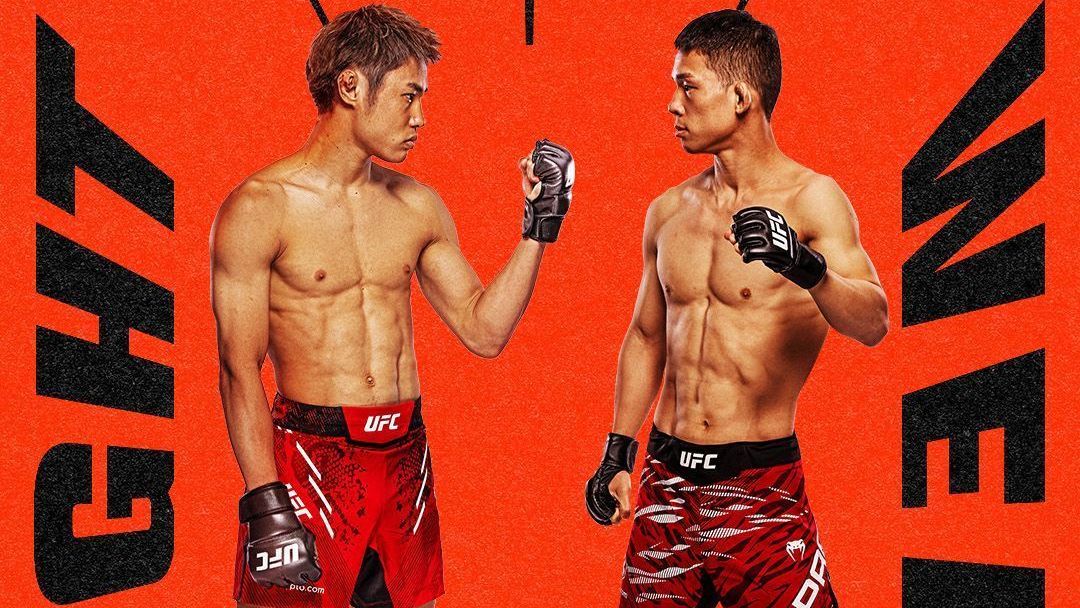 UFC Vegas 108 é recheado de brasileiros; card e onde assistir ao evento