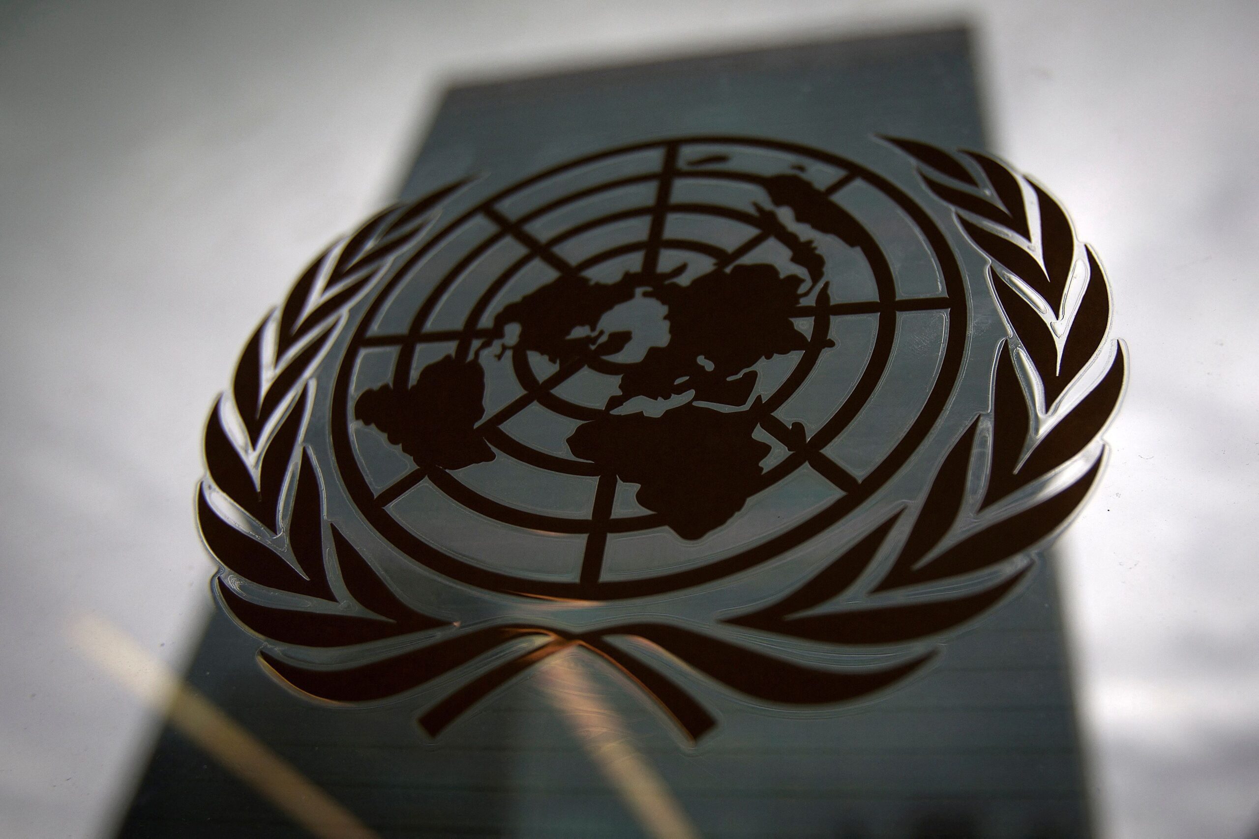 ONU perdeu eficácia e já não oferece soluções reais, diz especialista