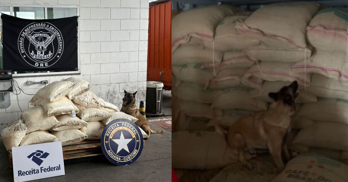 PF apreende meia tonelada de cocaína escondida em carga de café no RJ