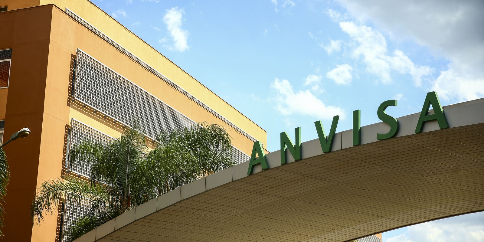 Anvisa restringe venda de azeite, sal do himalaia e chá; confira