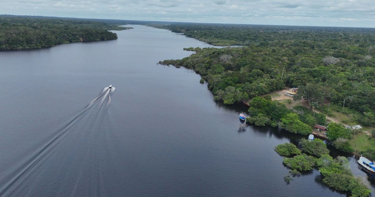 Brasil avança em negociação de fundo de proteção de florestas tropicais