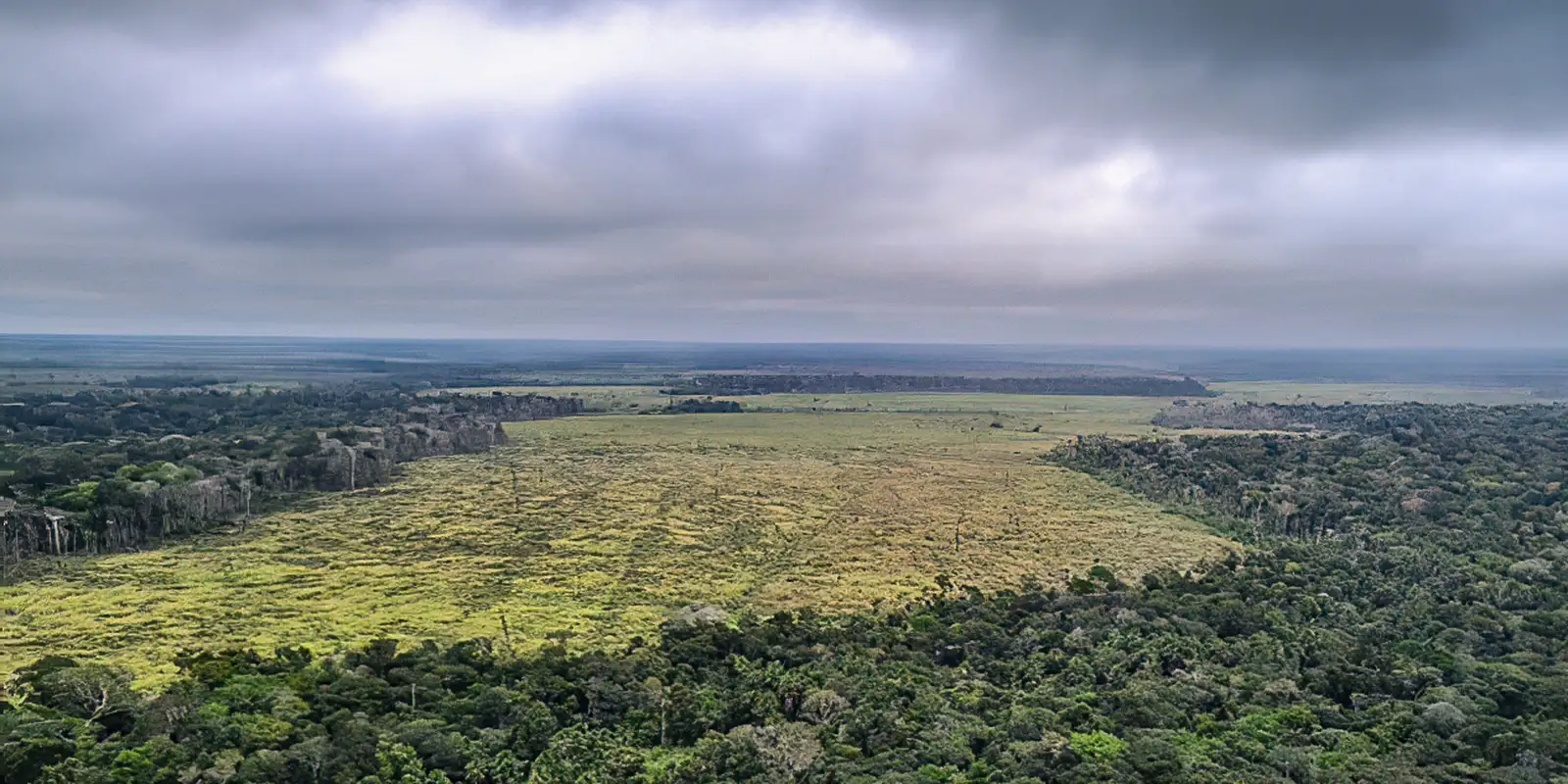 Sociedade civil vê retrocesso grave em queda de vetos de PL Ambiental