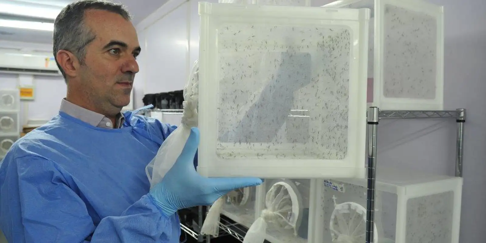 Brasileiro criador do “Aedes” que bloqueia dengue é eleito pela Nature