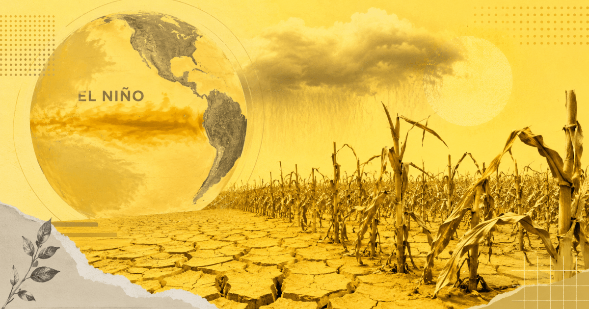 Governo avalia usar sobras do Proagro no combate ao El Niño