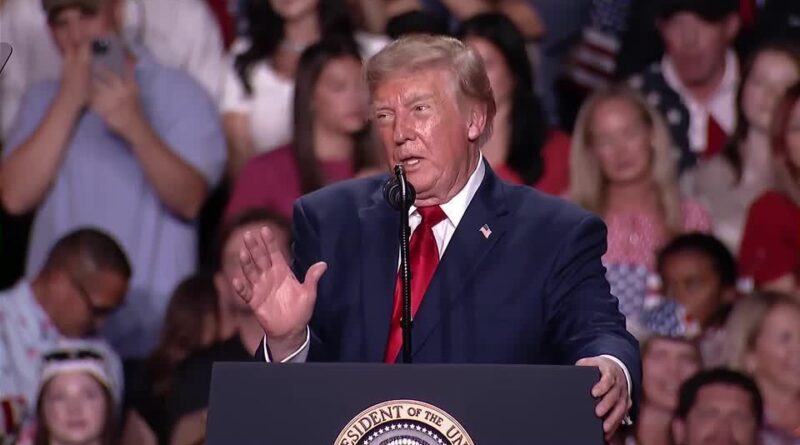 Exageros de Trump cobram consequências nas midterms, diz especialista Exageros de Trump cobram consequências nas midterms, diz especialista