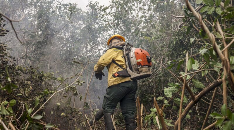 Amazonas tem 540 focos de incêndio nas últimas 48 horas