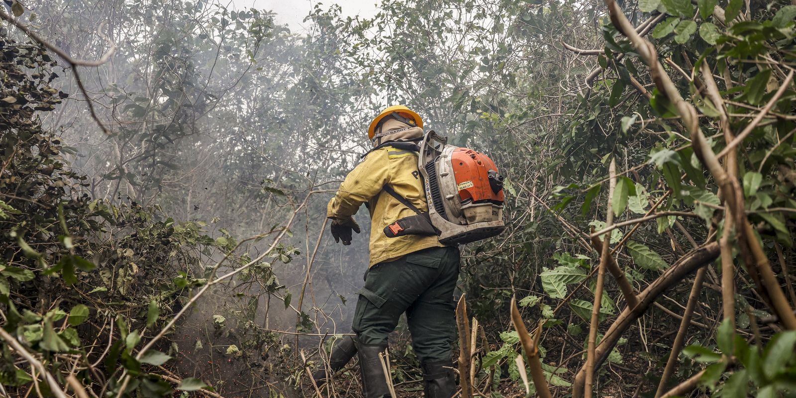 Amazonas tem 540 focos de incêndio nas últimas 48 horas